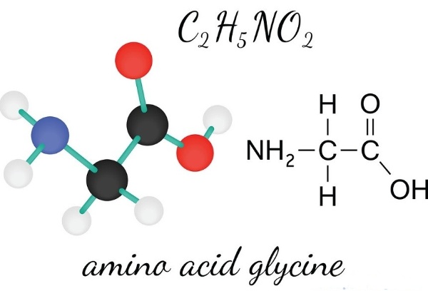 Glycine được tổng hợp trong gan từ các axit amin