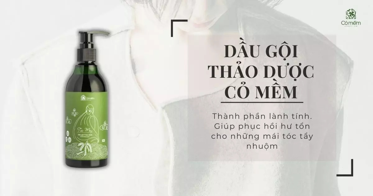 Dụng cụ chăm sóc tóc chuyên dụng cho tóc nhuộm, giúp giữ màu và phục hồi hư tổn