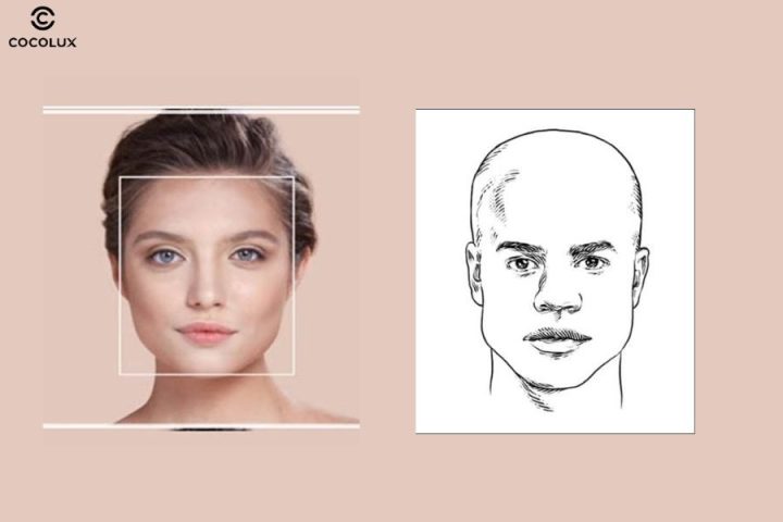 Khuôn mặt vuông với đường viền hàm sắc nét và tỉ lệ đặc trưng