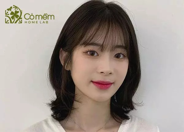 Mái thưa bằng trẻ trung