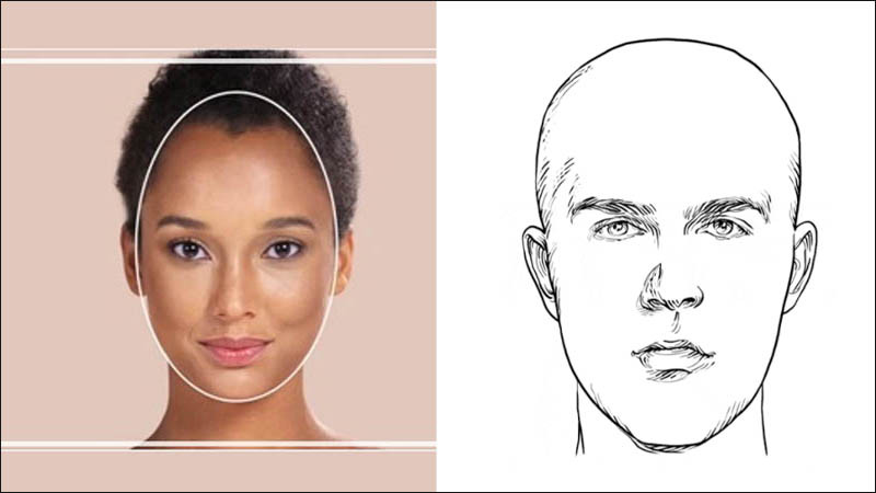 Mô phỏng khuôn mặt nữ hình trái xoan