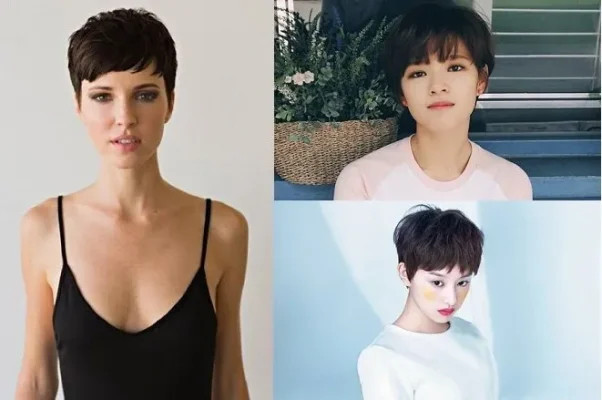 Tóc pixie lệch sành điệu với màu nhuộm sáng cho cô gái mặt tròn